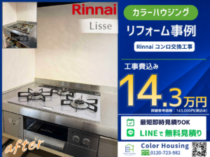 colorhousing-20260313-Rinnai-lisse-before-after-2