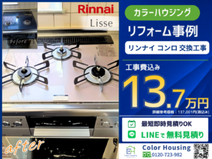 colorhousing-20260527-Rinnai-Lisse-RHS31W42J2RSTW-before-after (2)